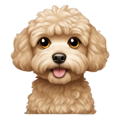 light brown maltipoo dog sticker
