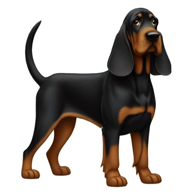 Black bloodhound standing  sticker