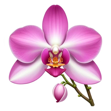 exquisite-phalaenopsis-moth-orchid-with-pure-white-petals-and-subtle-pink-center sticker