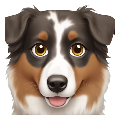 Australian shepherd with brown and blue eyes  sticker