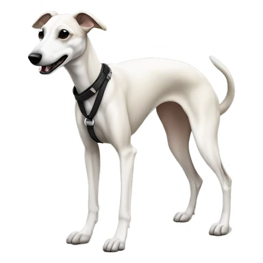 a beige whippet full body with his foot white color and a leash going out of frame, with a dark snout, black and white mouth patchy, White mask on the muzzle sticker