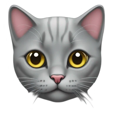 Grey British cat with a heart sticker