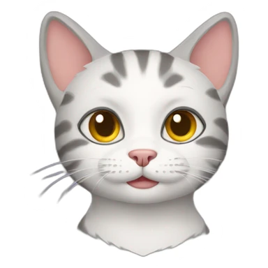 cat animation sticker