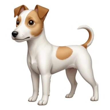 a full body white parson russell looking dog the size of a kelpie with light brown ears and a light brown patch on one eye and a large snout sticker
