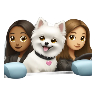 Pomeranian white in car with brunette girl sticker