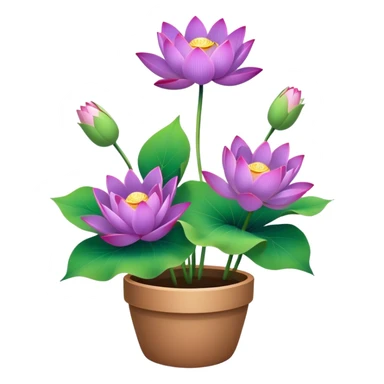 flower pot Purple Lotus,stem, Lotus leaf, bunch sticker