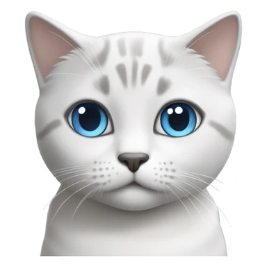 British short hair cat in white and light grey with blue eyes sticker