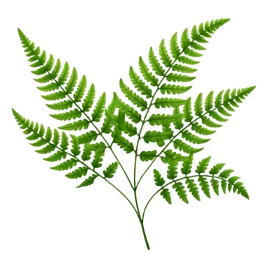 fern sticker
