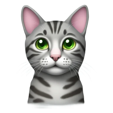 grey tabby with green eyes and pink nose and blue colar sticker