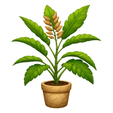 ginger plant sticker