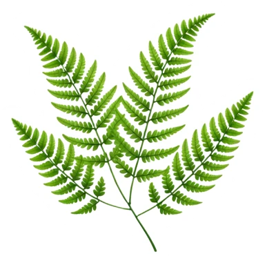 Fern sticker