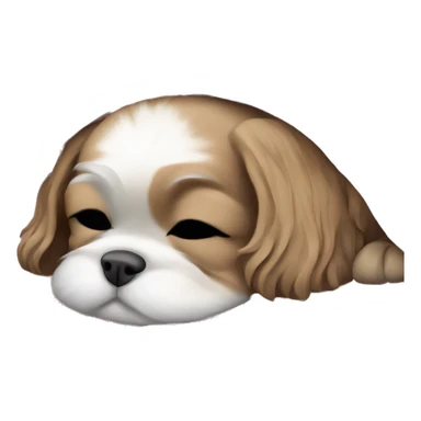 Shi - tzu puppy sleeping with a blanket sticker