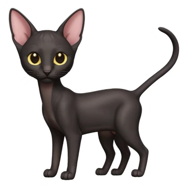 A 3D cartoon black Oriental Shorthair cat with bulky body, tall ears, reflective fur, dark cinematic background, Memoji-style. full body or half body. sticker
