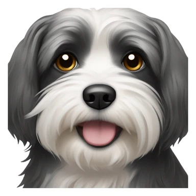 Black and white Havanese dog crying sticker