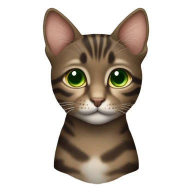 Dark brown tabby cat with brown-green eyes  sticker