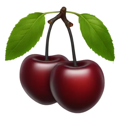 two burgundy cherries on black stem sticker