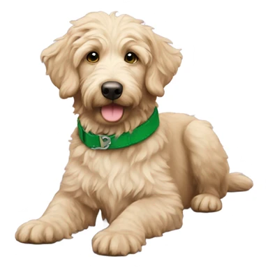 aussie doodle with green collar sticker