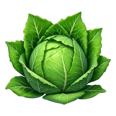 pointy cabbage sticker
