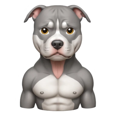Grey pitbull with white chest sticker