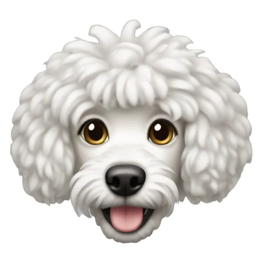 caniche blanco emoji sticker