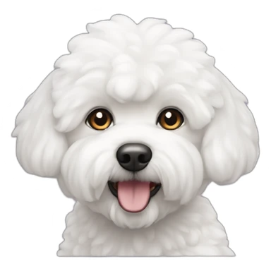 Bichon maltais sticker