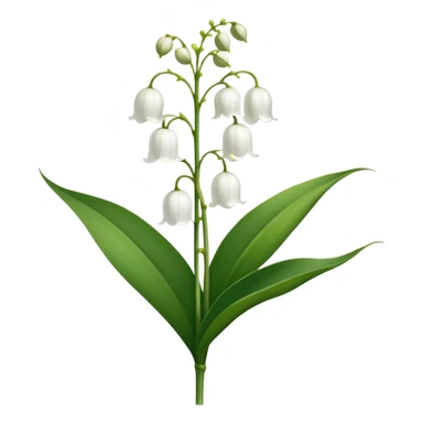 Botanically accurate lily of the valley with large oval basal leaves pointing upward, and a central stem with small white bell-shaped flowers hanging to one side sticker