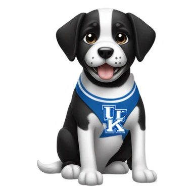 Black and white dog wearing university of Kentucky top sticker