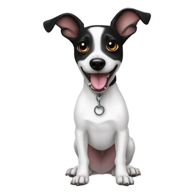 White jack russel black pointy ears tongue out  sticker