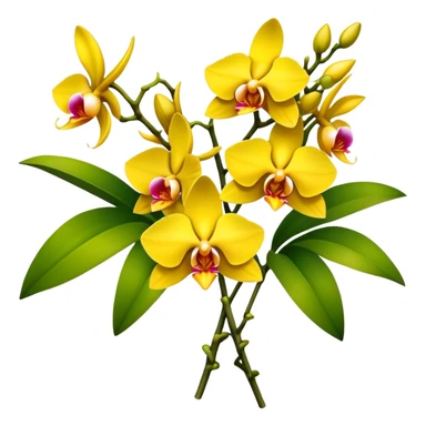 big bouquet yellow Dendrobium Orchid, stem, leaf sticker