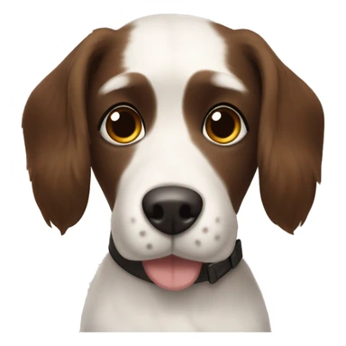 Dog with a name tag that says benson. Big brown nose, white face medium length hair, chocolate brown ears and long eye lashes sticker