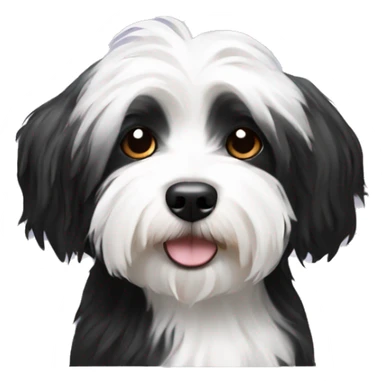 Black and white havanese sticker