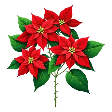 big bouquet Poinsettia, stem, leaf sticker