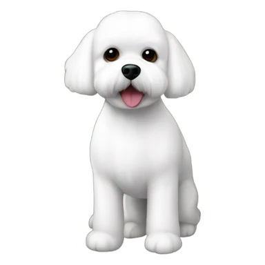 Maltese bichon with fruits sticker