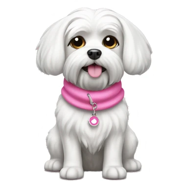 Maltese dog with colllar pink sticker