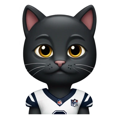 black cat wearing New England Patriots Jersey sticker
