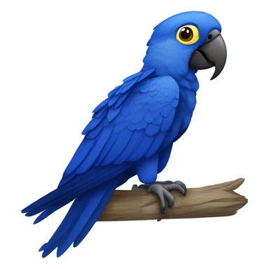 Hyacinth macaw  sticker