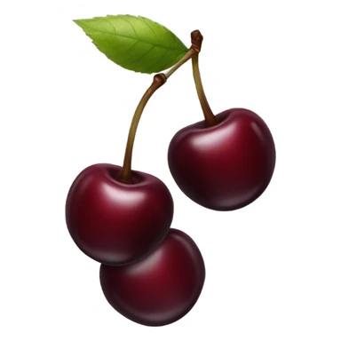 two burgundy cherries on black stem sticker