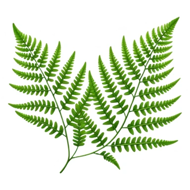 Fern leave sticker