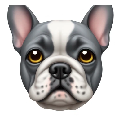 Sad grey french bulldog sticker