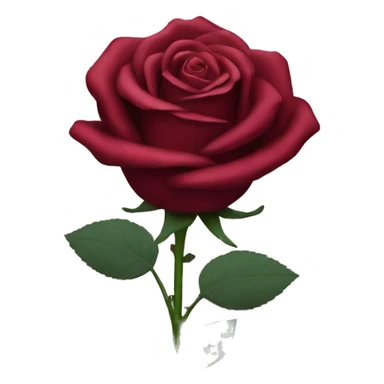 Wine Red Rose Flowers sticker