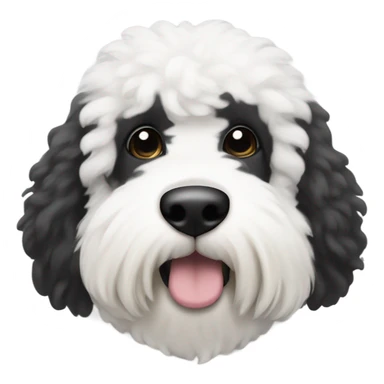 @oatmealthesheepadoodle from Instagram the coloring around his left eye is black and the coloring around his right eye is white  sticker