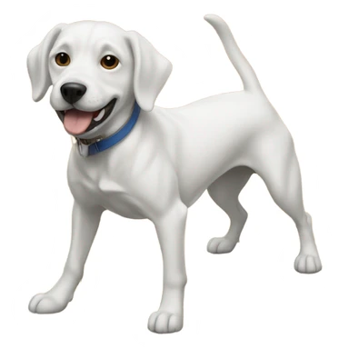 Dog with air Jordan’s  sticker