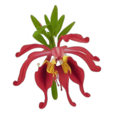 Gloriosa sticker