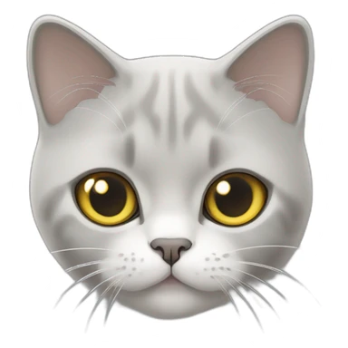 A british shorthair cat in light grey, white and beige with a white bless and with yellow eyes sticker