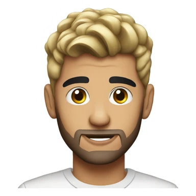 ZAYN sticker