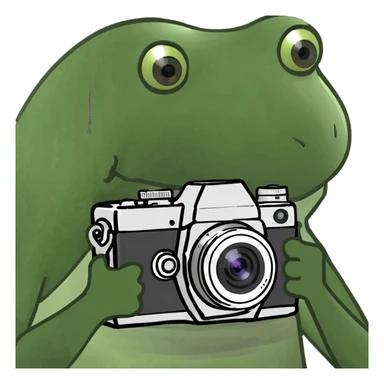 Place the bufo frog holding a camera on a sunny tropical beach, maintaining the green bufo frog meme style with concise details and vibrant colors typical of the bufo style. sticker