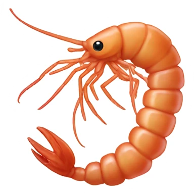 penis shrimp sticker