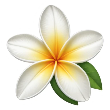 frangipani flower white sticker