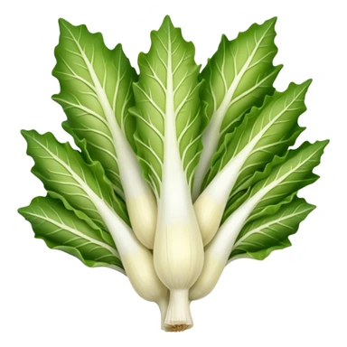 Belgian endive sticker