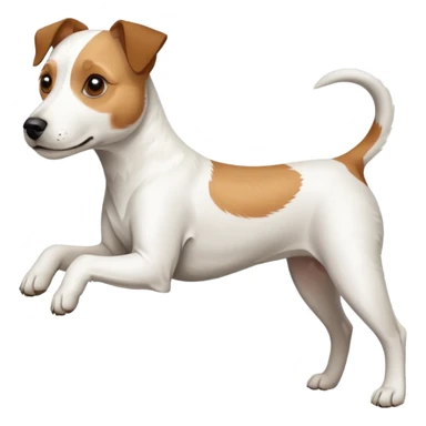 a full body white parson russell looking dog the size of a kelpie with light brown ears and a light brown patch on one eye and a large snout sticker